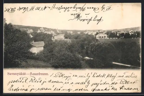 AK Bad Sauerbrunn, Ortsansicht