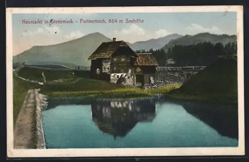 AK Neumarkt / Stmk., Fortnerteich mit Hütte