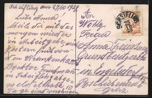 AK Neumarkt / Stmk., Fortnerteich mit Hütte