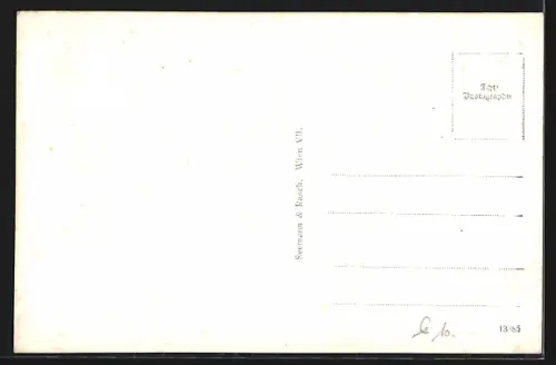 AK Offenhausen /Gau Oberdonau, Strassenpartie