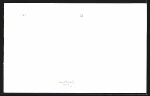 AK Ellmau /Tirol, Strassenpartie