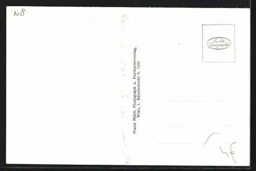 AK Hochwolkersdorf, Fernansicht der Volksschule