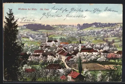 AK Wallern an der Trattnach, Teilansicht mit Kirchen