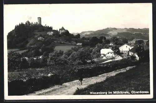 AK Waxenberg /Mühlviertel, Ortsansicht mit Burgruine