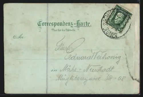 Mondschein-Lithographie Amstetten, Schloss Wallsee, Hauptplatz, Wiener-Strasse