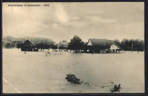 AK Utzenstorf, Hochwasser 1910, Häuser und Bäume unter Wasser