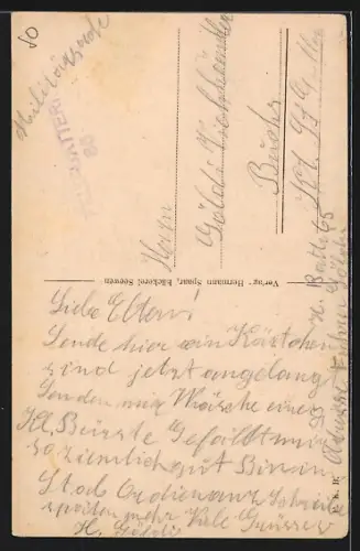 AK Seewen, Totalansicht aus der Vogelschau, Strassenpartie mit Wohnhäusern