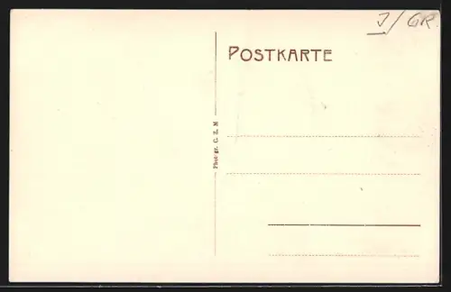 AK Taufers im Münstertale, Gasthof zum schwarzen Adler, Bes. B. Fliri, Ortsansicht aus der Vogelschau