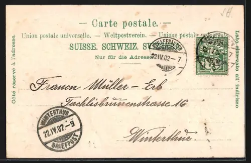 Passepartout-Lithographie Schaffhausen, Ansichten auf Kleeblatt, Frohnwaagplatz, Ritterhaus, Rheinfall