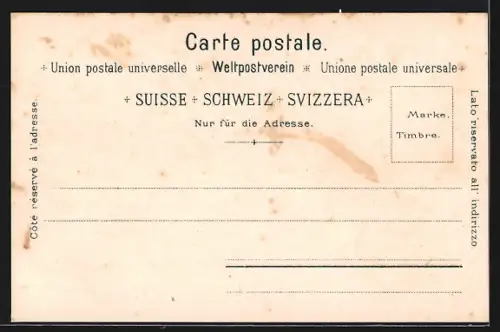 Lithographie Solothurn, Totalansicht mit Alpenkette, Kurort Weissenstein, Einsiedelei St. Verena, St. Ursus Kirche