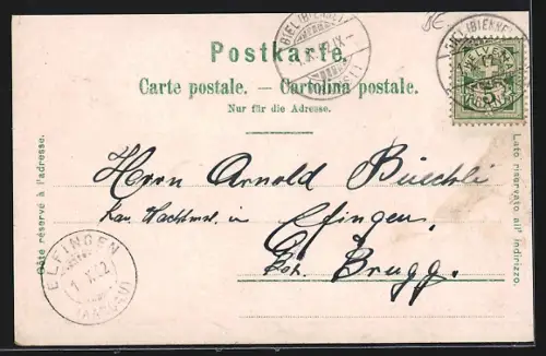 Lithographie Biel, Nidaustrasse, Totalansicht des Ortes aus der Vogelschau