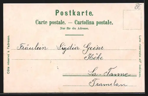 Lithographie Biel, Zeitglockenturm u. alte Stadtmauer, Pasquartallee u. Museum Schwab, Totalansicht des Ortes