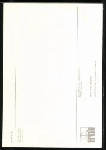 AK Musiker Bata Illic lächelnd im Porträt, Autograph