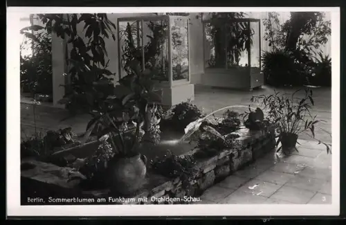AK Berlin, Ausstellung unterm Funkturm, Sommerblumen- und Orchideen-Schau