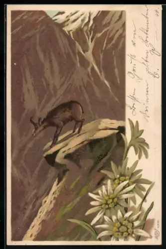 Lithographie Gemse und Edelweiss