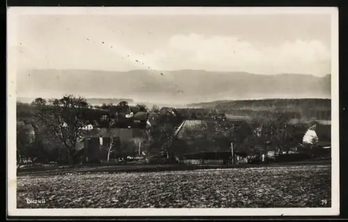 AK Biezwil, Ortsansicht mit Bergpanorama