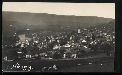 AK Höngg, Ortsansicht mit Flusspartie