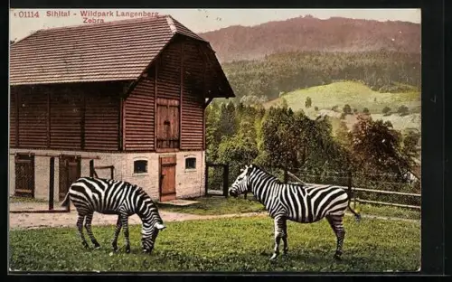 AK Langnau am Albis, Wildpark Langenberg, Zebra