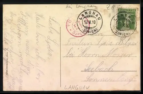 AK Langnau am Albis, Wildpark Langenberg, Zebra