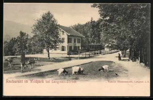 AK Langnau am Albis, Restaurant im Wildpark Langenberg, Rehe und Ziegen