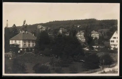 Foto-AK Küsnacht, Blick in den Ort