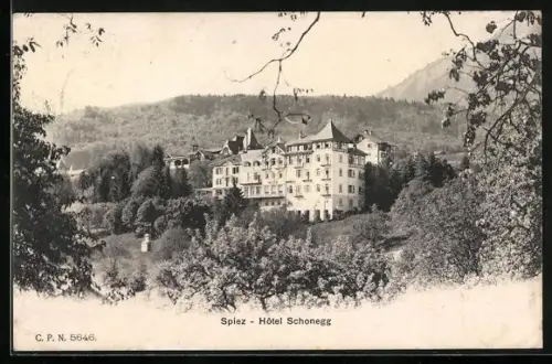 AK Spiez, Hotel Schonegg mit Umgebung