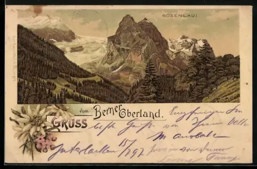 Lithographie Berner Oberland, Gebirgspanorama mit Rosenlaui