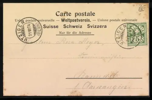 AK Utzigen, Anstalt mit Strassenpartie