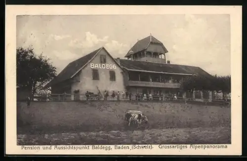 AK Baldegg /Baden, Pension und Aussichtspunkt Baldegg mit Kühen