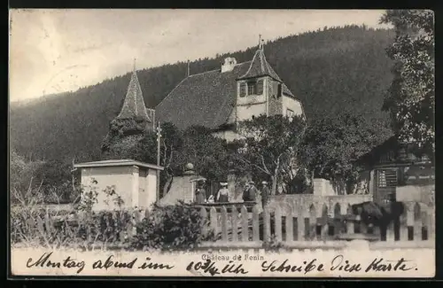 AK Fenin, Château de Fenin