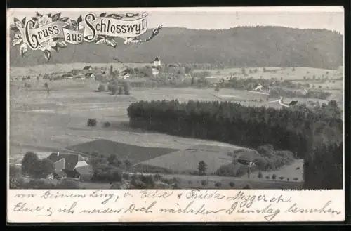 AK Schlosswil, Panorama mit Strassenpartie