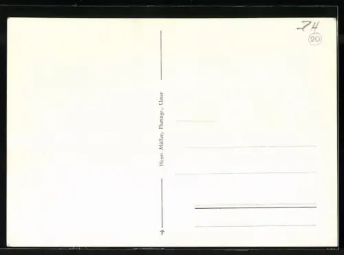 AK Wald /Zch., Strassenpartie mit Kirche