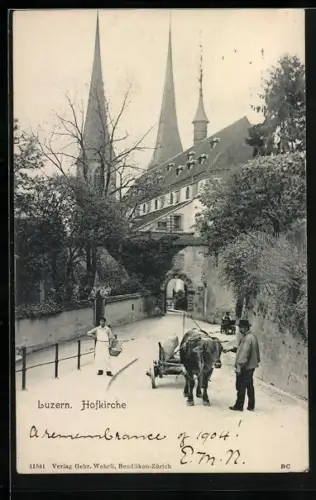 AK Luzern, Blick zur Hofkirche, Ochsengespann