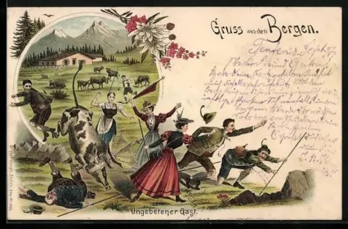 Lithographie Ungebetener Gast, wilder Ochse rennt in die Bergsteiger