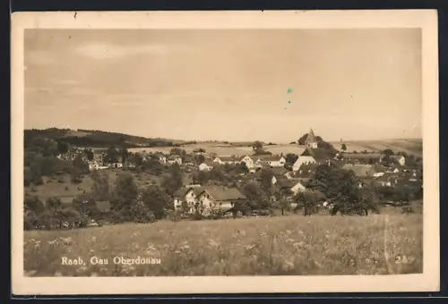 AK Raab /Oberdonau, Gesamtansicht von blühender Wiese aus