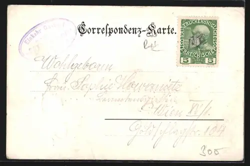 AK Wien, Gasthof und Meierei Sophienalpe, Bes. Franz Wagner, Passepartout