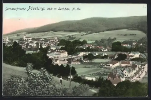 AK Piesting, Teilansicht