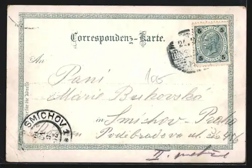 Lithographie Innsbruck, Triuphpforte, Schloss Weiherburg, Goldenes Dachel, Panorama