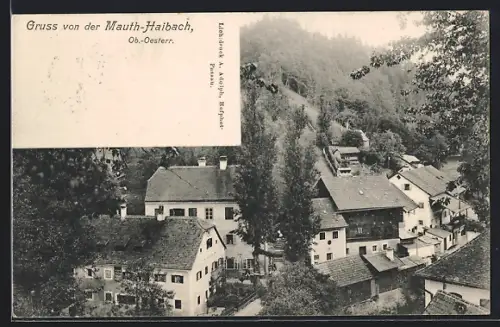 AK Haibach /O.-Oe., Gruss von der Mauth, Dachs-Weinhaus