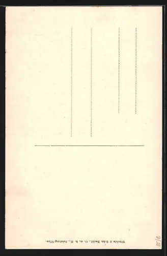 AK Badgastein, Gasthaus Straubingerhütte