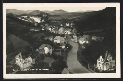 Künstler-AK Haibach / Passau, Teilansicht