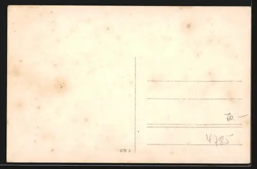 Künstler-AK Haibach / Passau, Teilansicht