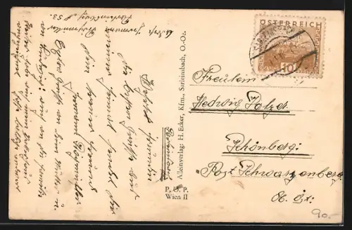 AK Sarleinsbach /O.Oe., Gesamtansicht aus der Ferne