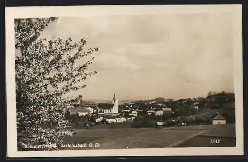 AK Sarleinsbach /O. D., Ortsansicht mit blühendem Baum