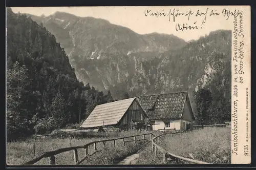 AK Grossreifling, Der Tamischbachthurm vom Tamischbachgraben