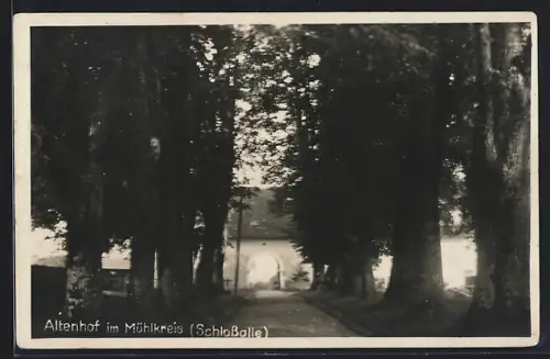 AK Altenhof im Mühlkreis, Schlossallee mit Torgebäude