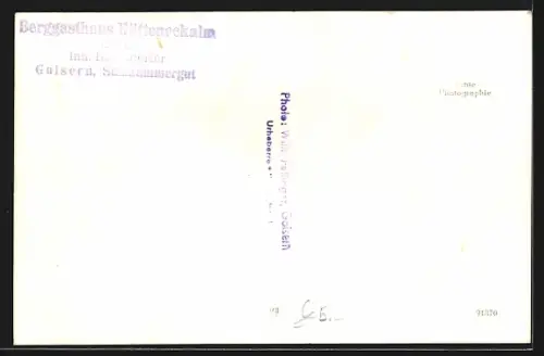 AK Goisern /Salzkammergut, Gasthof Hüttenecksalm Besendorfer und Gäste