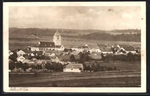 AK Vitis, Ortsansicht mit Kirche