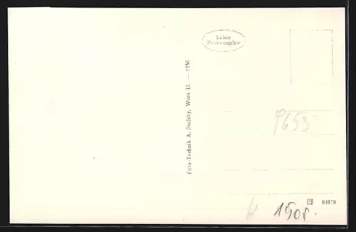 AK Liesing im Lesachtal, Totalansicht mit Bergpanorama aus der Vogelschau