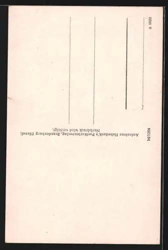 AK Brandenburg /Havel, Am Beetzsee, Lied Fritze Bollmann